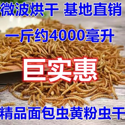 基地直销面包虫黄粉虫干宠物零食