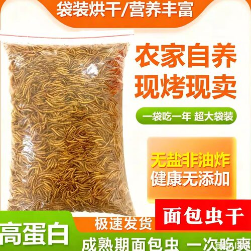 厂家直销面包虫干黄粉虫高蛋白营养零食仓鼠八哥龟金丝熊饲料袋装