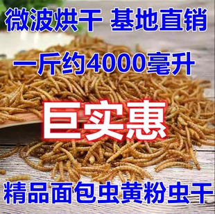 黄粉虫干面包虫干微波烘干宠物粮食零食饲料蛋白仓鼠鱼鸟刺猬鹦鹉