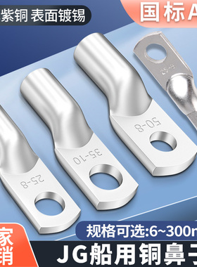 JG国标紫铜加厚铜鼻子镀锡冷压接线端子10/16/25/35/70平方线鼻子