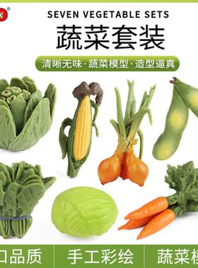 儿童早教幼儿园认知教具用品仿真水果蔬菜模型摆件玉米洋葱胡萝卜
