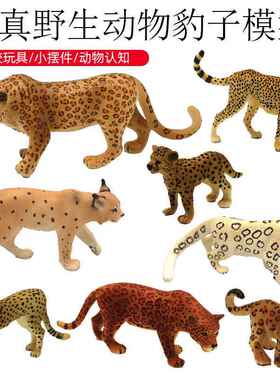 跨境实心非洲猎豹仿真模型 儿童认知手办摆件野生动物园美洲豹子