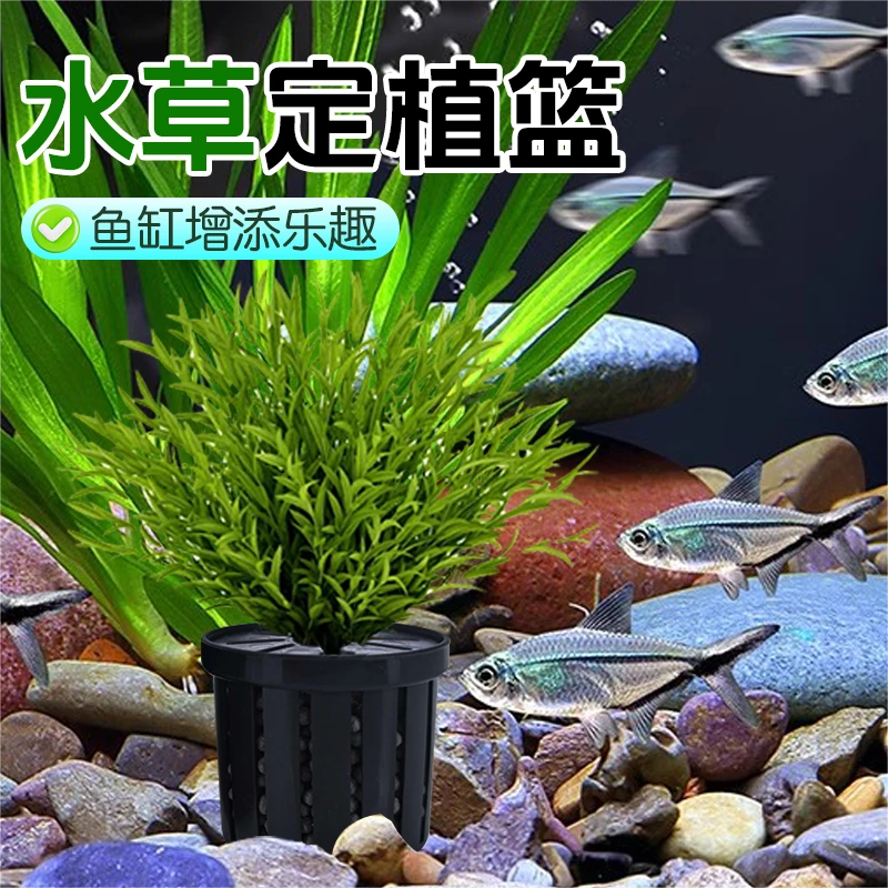 家用鱼缸水草定植篮造景装饰养草杯花卉固根器水草泥沉底固定器