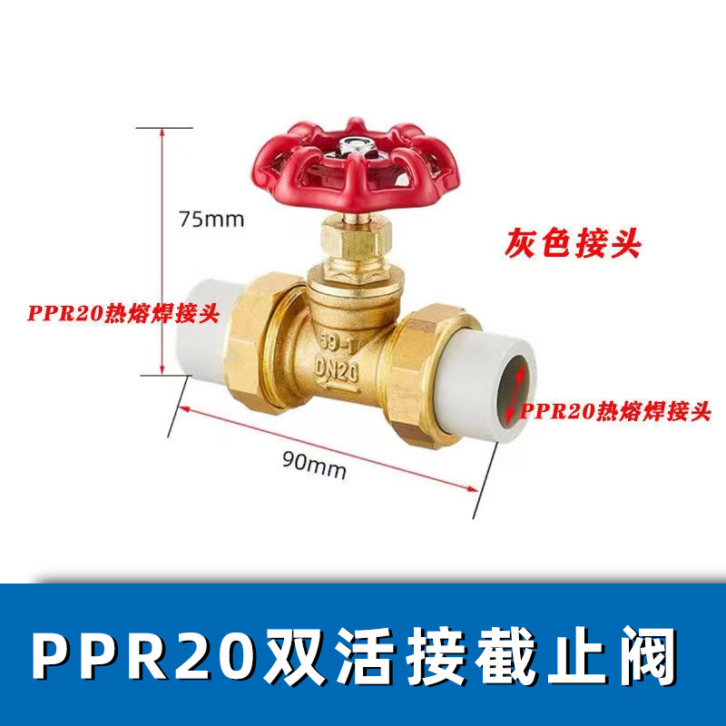 热熔PPR双活接铜截止阀PE水截门开关4分6分自来水管阀门开关配件