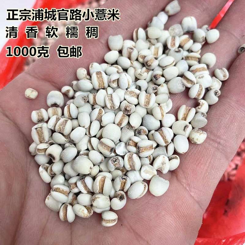 新米浦城特产官路山薏米高山农家软糯小薏米苡仁五谷杂粮两斤包邮