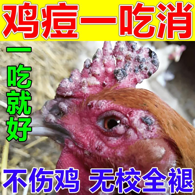 鸡痘专用药新牧毒克特效药灵家禽鸽痘消除格E斗散鸡治疗养鸡冠口