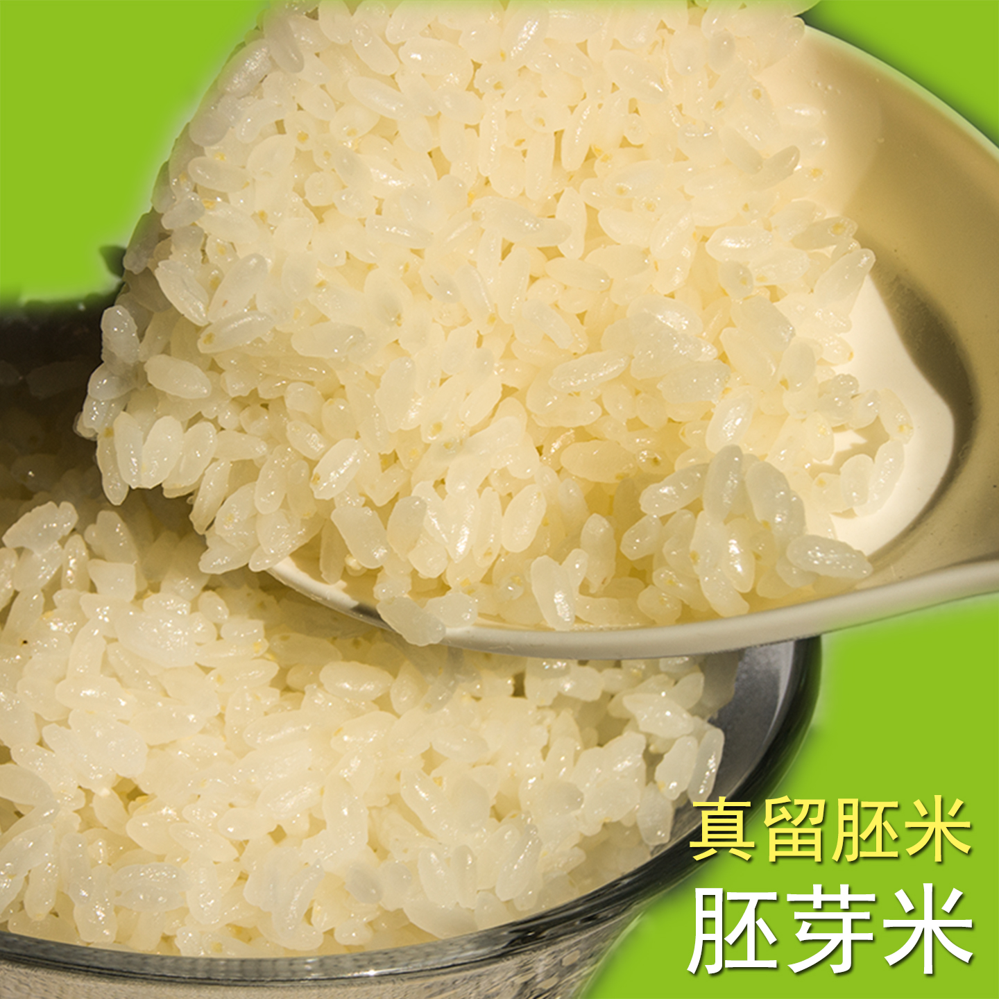 胚芽米今年新稻加工软糯好吃粳米