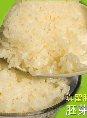 胚芽米晚稻香粳米南粳46江苏新米梗不抛光米优质油粘米9108鲜大米