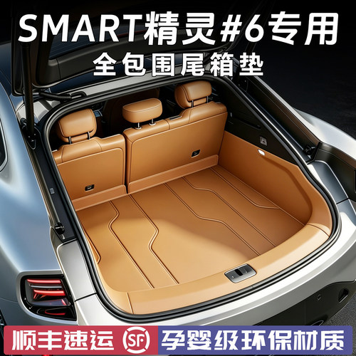 奔驰Smart精灵六号ehd后备箱垫