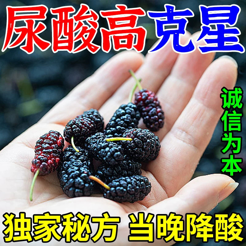 丹鹿通痹胶囊痛风半月板损伤膝盖骨刺囊肿消肿止痛祛风除湿活血