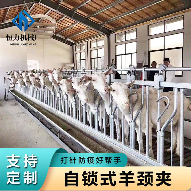 羊场防疫神器奶山羊专用3米8位自锁式羊颈夹 加厚热镀锌采食栏杆