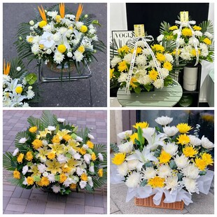 贵州毕节市七星关区金沙县菊花鲜花同城配送清明上坟扫墓祭奠悼念