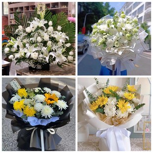 保定安新曲阳县顺平县蠡县菊花鲜花同城配送清明上坟扫墓祭奠悼念