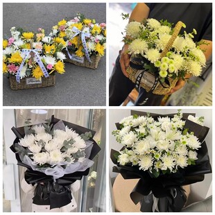 沧州市海兴县盐山县肃宁县菊花鲜花同城配送清明上坟扫墓祭奠悼念
