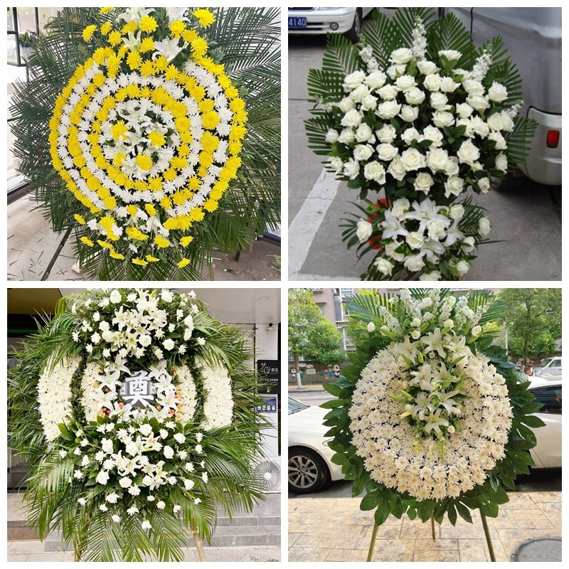 邵阳市武冈市邵东县洞口县花圈白