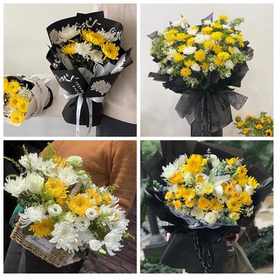 郑州市中牟区荥阳区惠济区菊花鲜