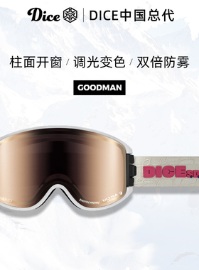 日本进口DICE滑雪镜柱面开窗超高清调光变色2倍防雾26新款GM0443
