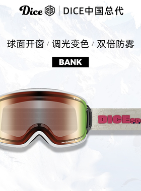 日本进口DICE滑雪镜球面开窗防划伤调光变色2倍防雾26新款BK0689