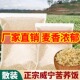 糙米糙米饭杂粮米饭五谷粗粮威宁正宗大量苦荞麦米饭