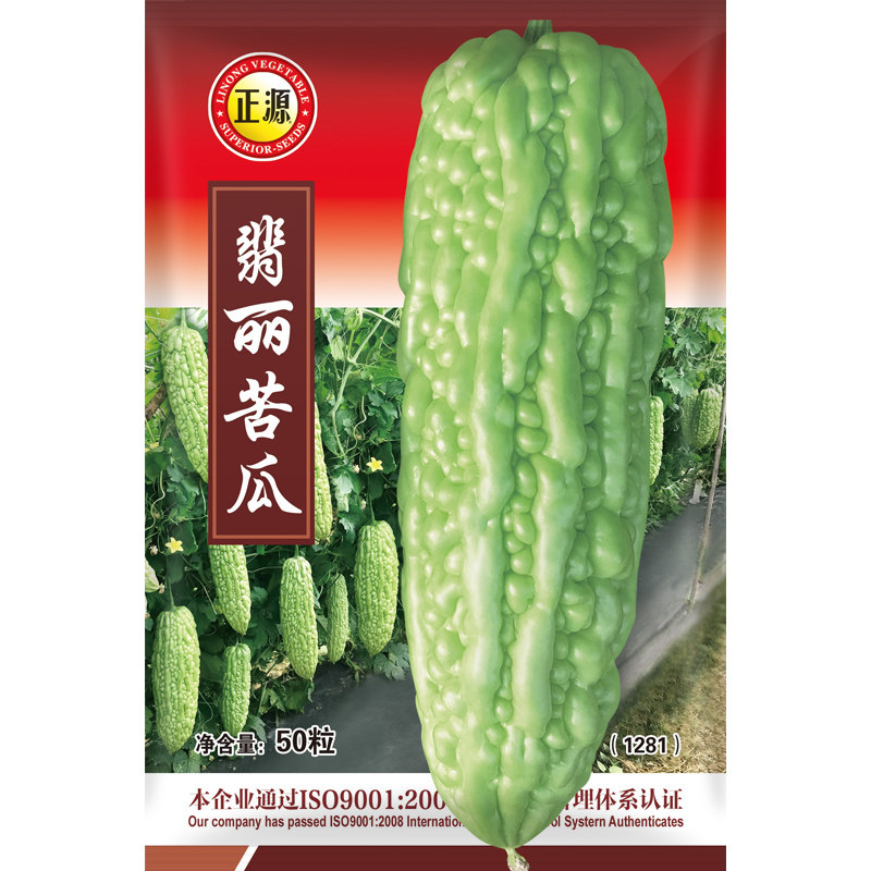 和利农 正源翡丽苦瓜种子绿疙瘩刺瘤白苦瓜种籽庭院四季蔬菜种孑