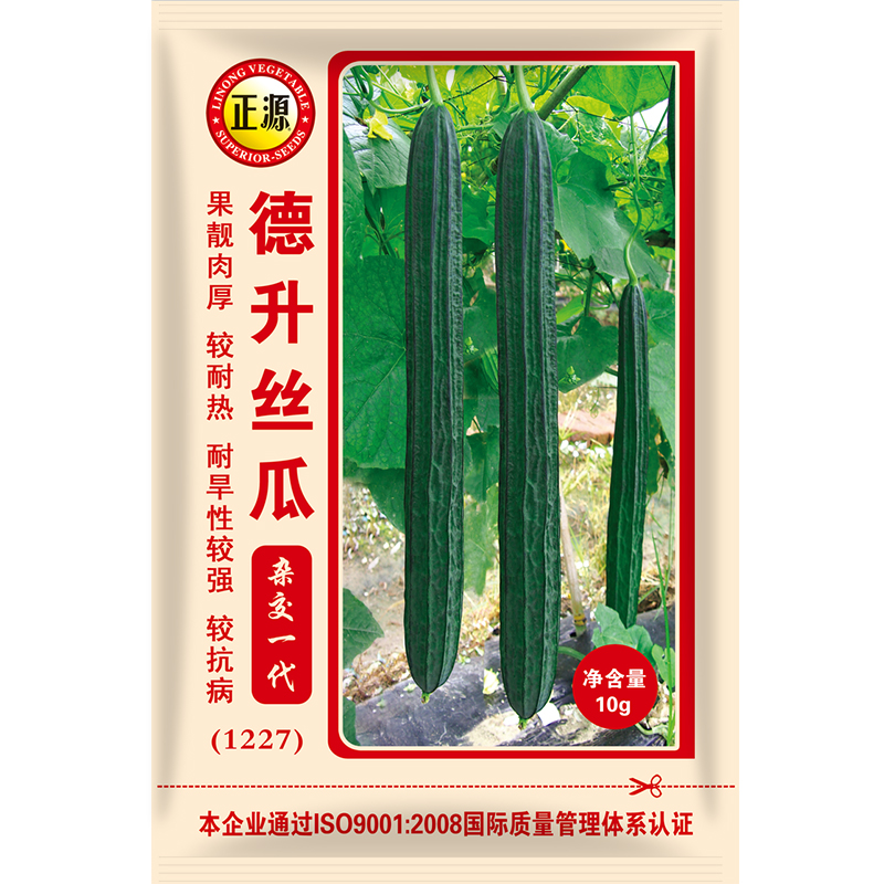 农家杂交早熟高产蔬菜丝瓜种子