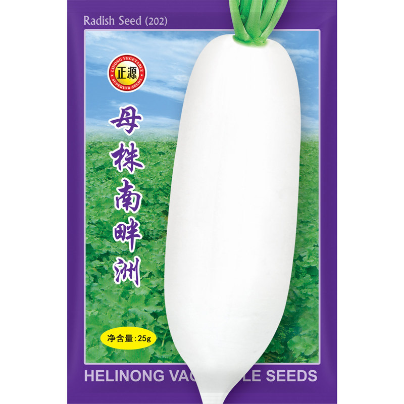 农家秋季蔬菜种孑白萝卜图片