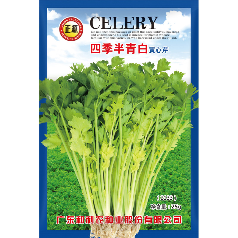 和利农正源四季青白黄心芹种子图片