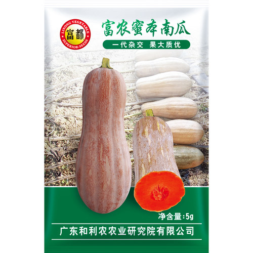 和利农蜜本南瓜种子超甜特甜高产