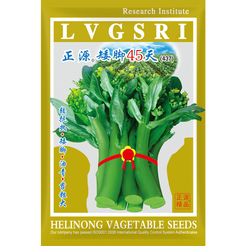 农家广东南方青菜四季种子