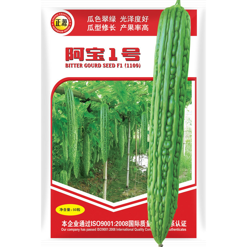 和利农 正源阿宝1号苦瓜种子绿疙瘩刺瘤长苦瓜种籽庭院蔬菜种孑