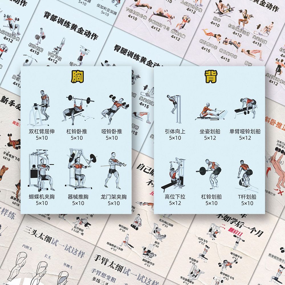 192张健身干货贴纸日常身体塑性锻炼核心力量训练教程贴画防水