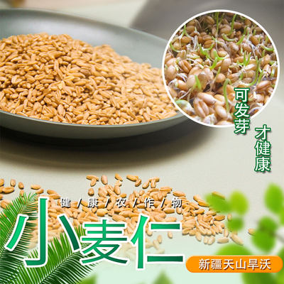 新疆特产天山旱沃旱田去皮小麦仁