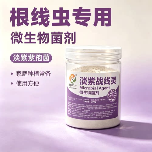 根线虫专用淡紫紫孢菌生物菌肥