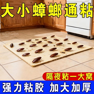 蟑螂粘板蟑螂贴家用厨房餐厅室内外通用蟑螂贴粘板蟑螂屋蟑粘虫板