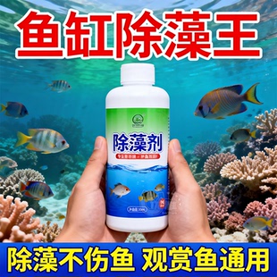 【除藻王】鱼缸除藻剂不伤鱼藻类青苔清理家用池塘净化鱼缸净水剂
