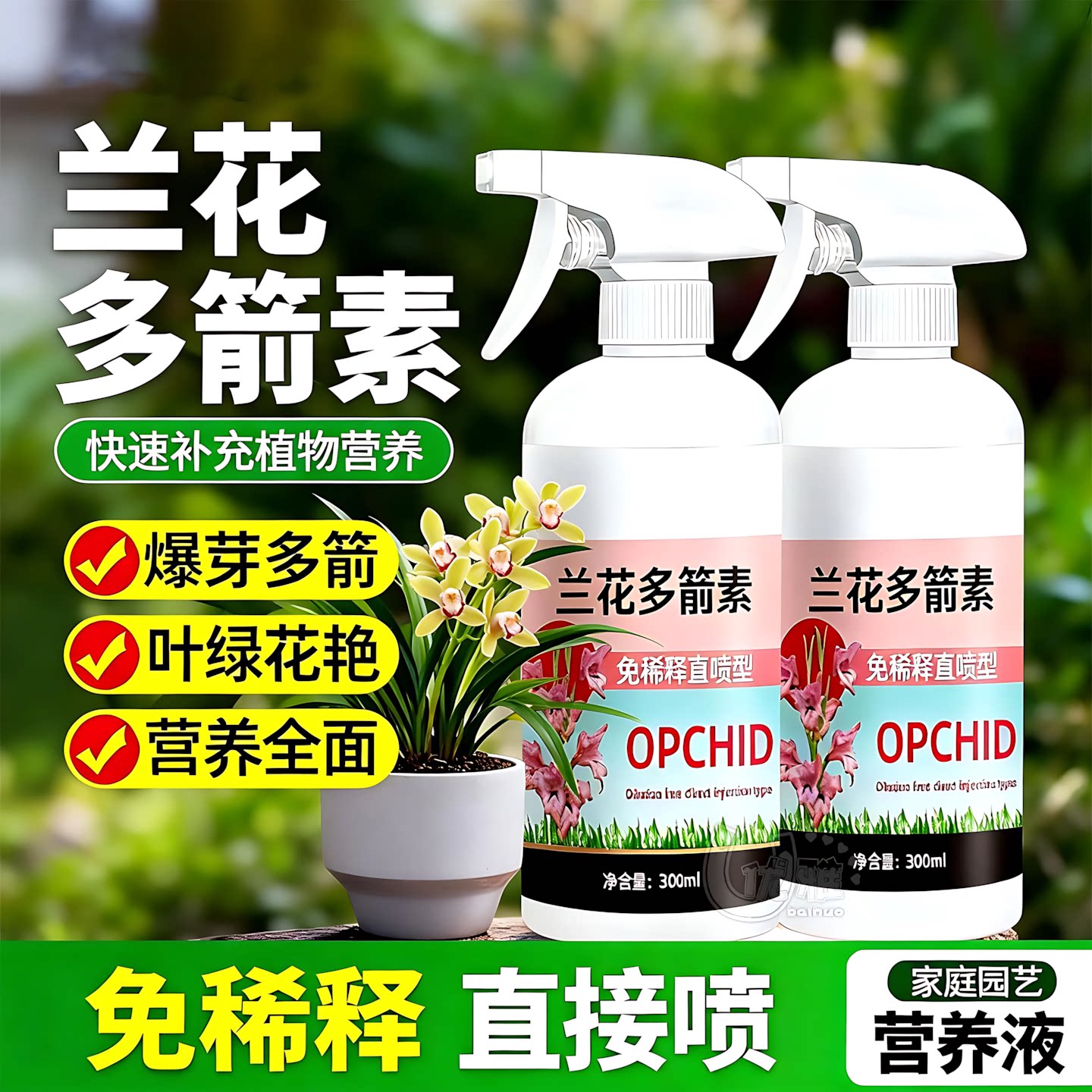 兰花多箭素催芽促箭多开花
