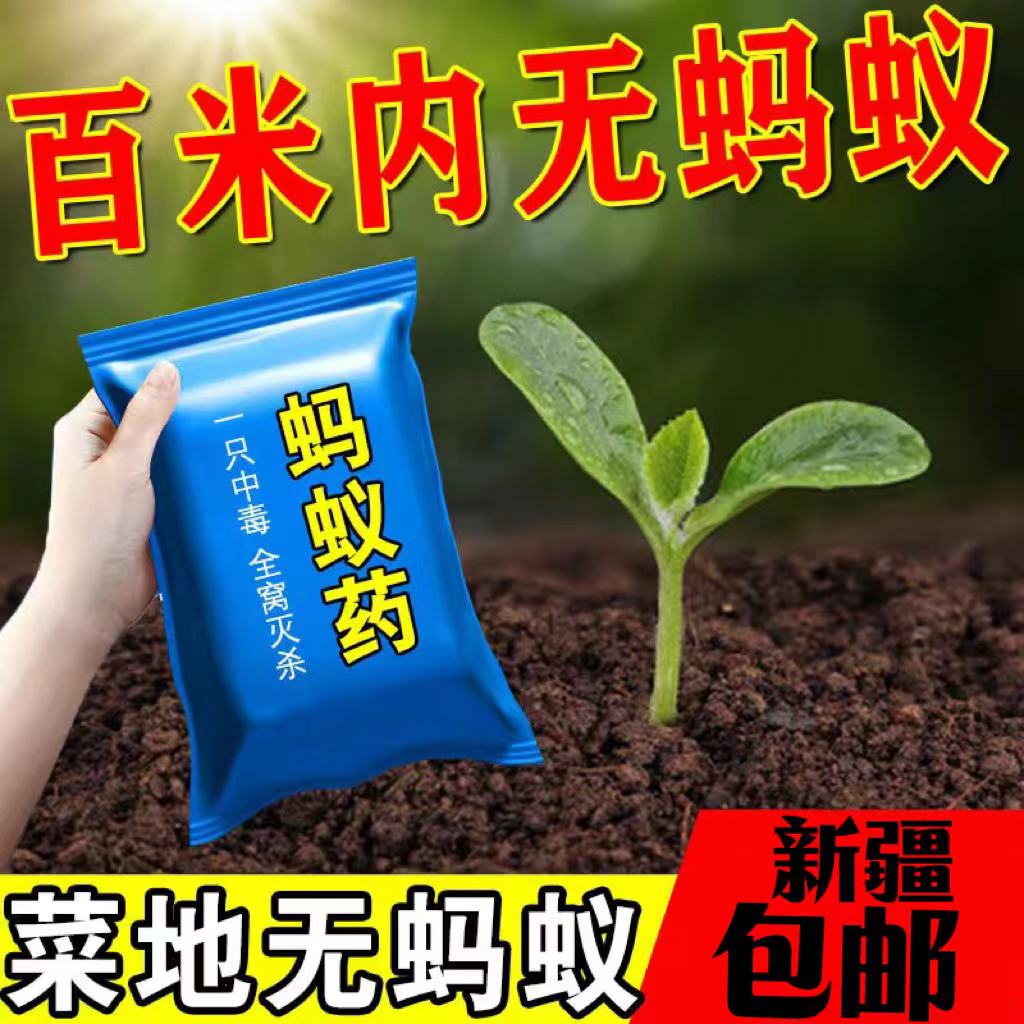 新疆包邮蚂蚁药强效全窝端家用非无毒厨房室内野外菜地灭蚁一窝端