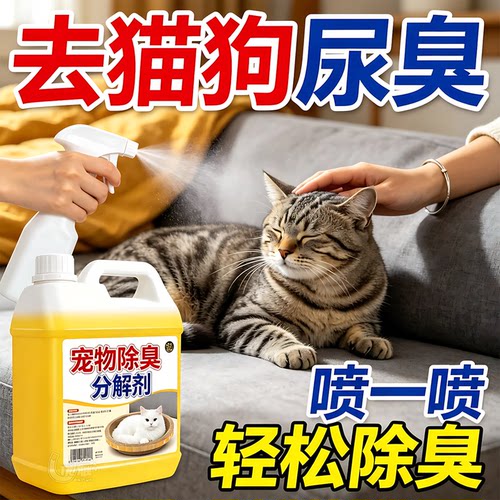 宠物除臭分解剂猫狗通用室内除味