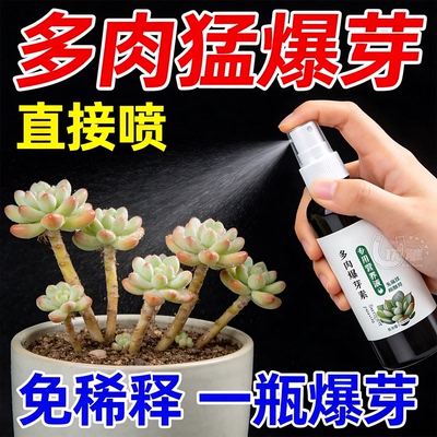 多肉上色营养液叶片饱满增肥