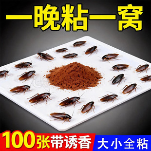 强力蟑螂粘板粘虫板家用室内外通用厨房粘贴板灭蟑螂家用粘鼠纸