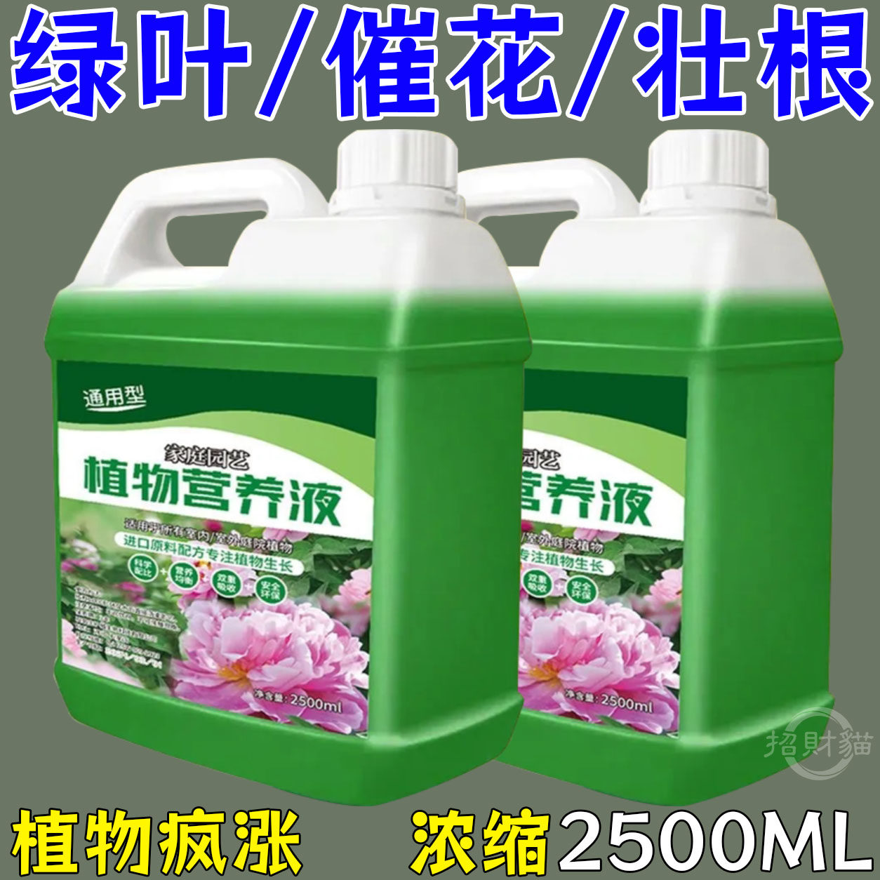 营养液植物通用型绿萝富贵竹发财树多肉水培养花卉绿植盆栽花肥料