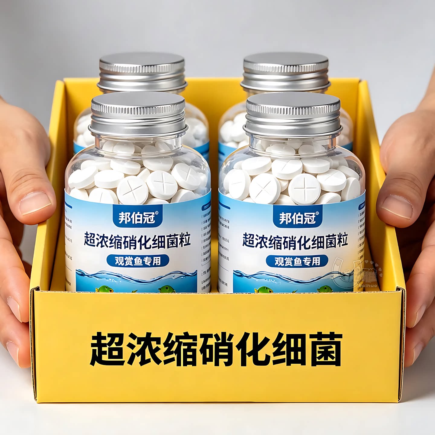 硝化细菌片鱼池鱼缸通用水质调理