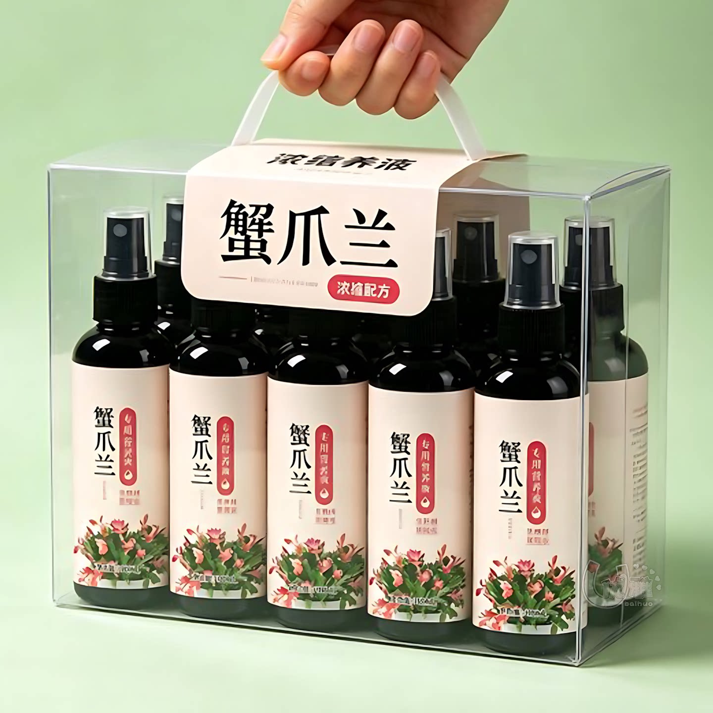 盆栽蟹爪兰营养液净水片长效养肥