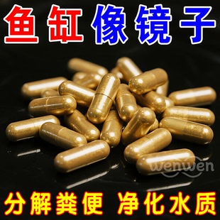 硝化细菌鱼缸用专用胶囊净水剂颗粒活菌干粉水质稳定净化水族鱼用