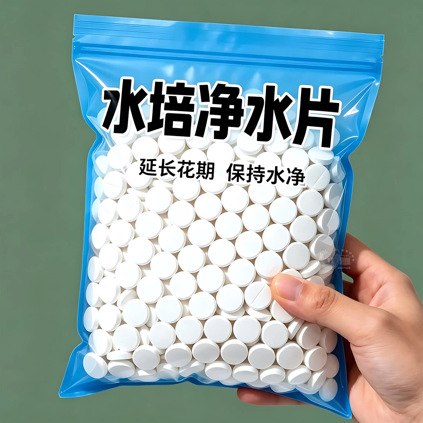 水培净水片家用园艺水培养护净水