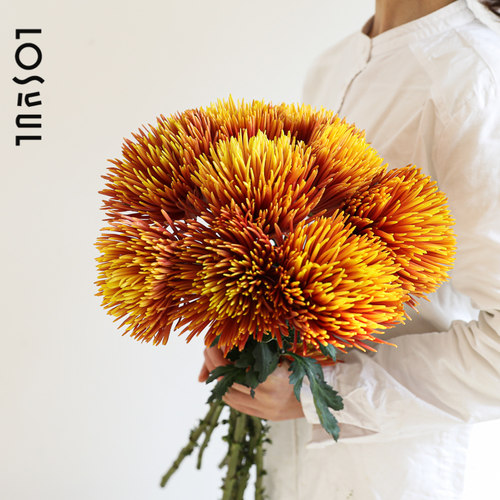 弗拉明戈鲜花鲜切室内野奢鲜花