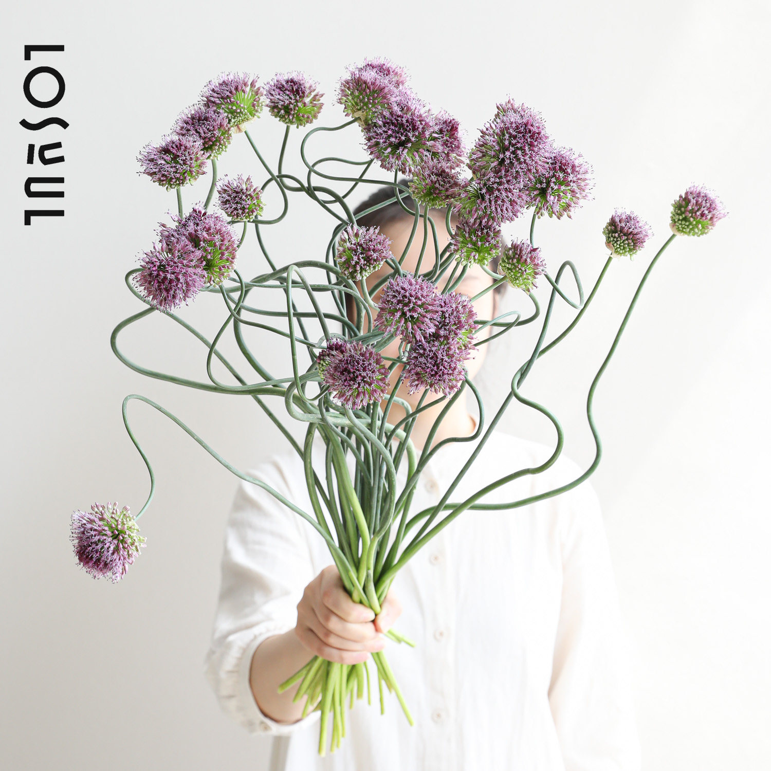 日本弯葱鲜花侘寂风高级紫葱鲜切花家居软装装饰咖啡厅服装店顺丰