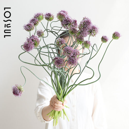 日本侘寂风紫葱鲜切花顺丰
