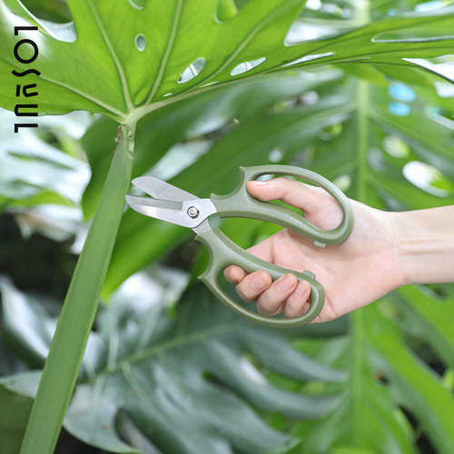 园艺剪刀修枝剪鲜花剪专用高级