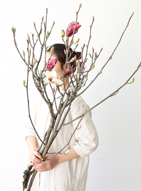 白玉兰花野奢紫色玉兰鲜花鲜切水培侘寂风小众花艺清香味软装道具